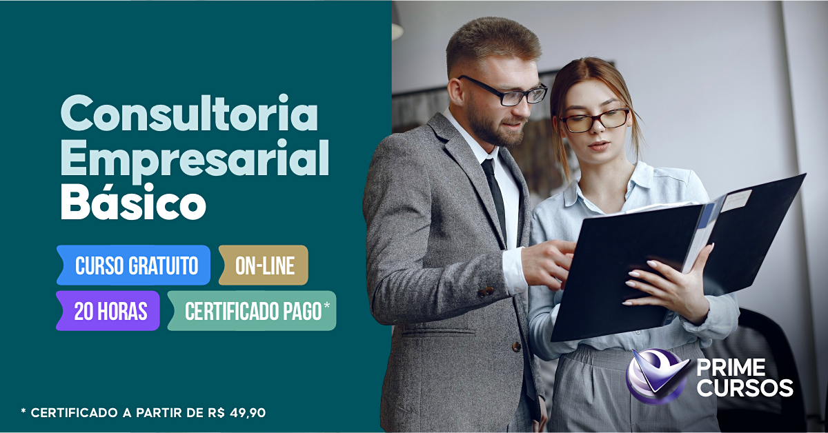 Curso de Consultoria Empresarial B&aacute;sico