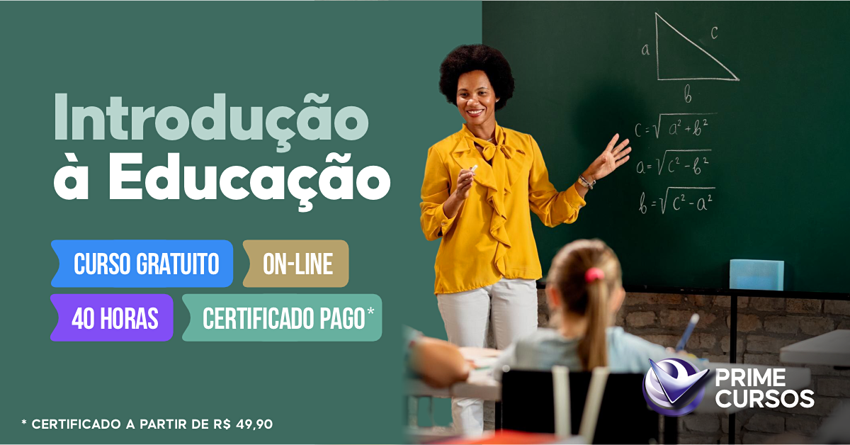 Curso de Introdu&ccedil;&atilde;o &agrave; Educa&ccedil;&atilde;o
