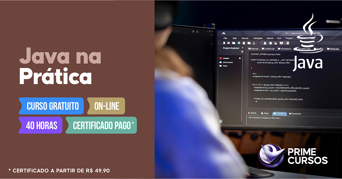 Curso de Java na Pr&aacute;tica