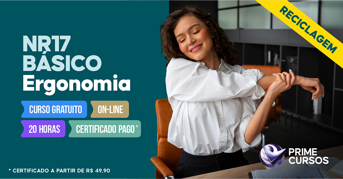 Curso da norma NR 17 B&aacute;sico - Ergonomia (2007)