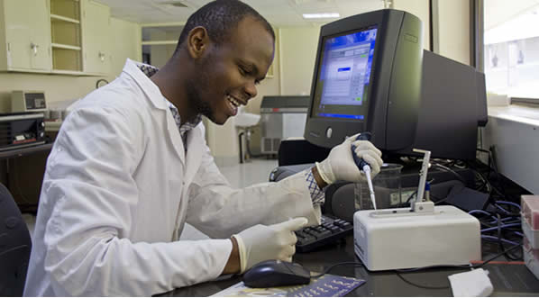 Importância dos Cursos de Especialização em um Currículo Importância dos Cursos